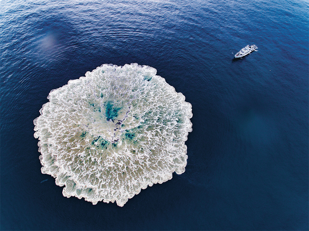 军营观察丨走出实验室的365天